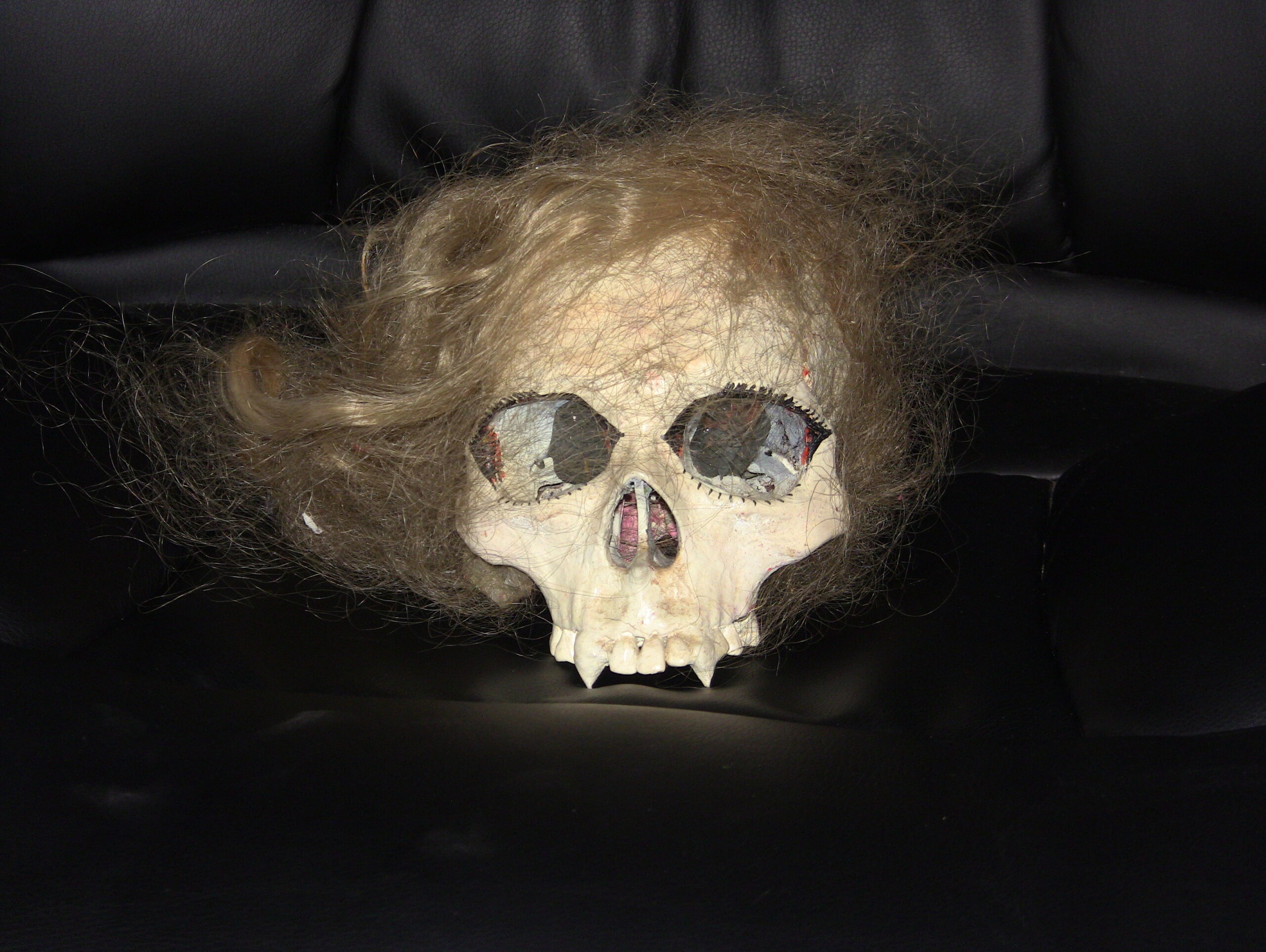 Movie prop - part of the Delores skull from "Polish Vampire in Burbank" (1983)